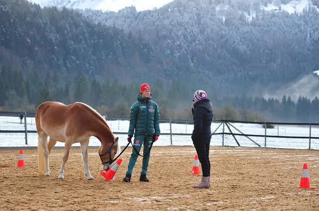 Zwei Personen auf Reitplatz, Pferd beschnuppert orangen Verkehrskegel vor verschneiten Bergen