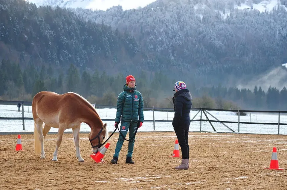 Pferdegestütztes Coaching Allgäu in Oberstdorf