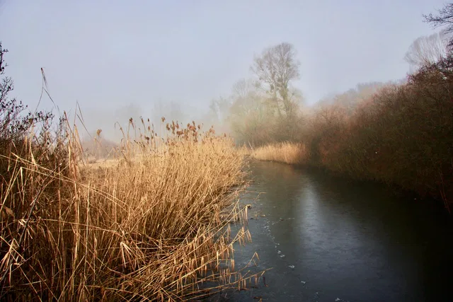 Winterlandschaft an der Schussen im Eriskircher Ried