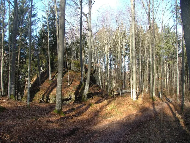Nagelfluhfelsen der Teufelsküche im Laubwald bei Obergünzburg