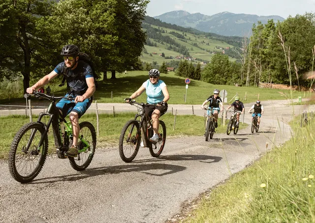 Geführte E-Bike-Gruppe auf einer Bergstraße bei Bad Hindelang