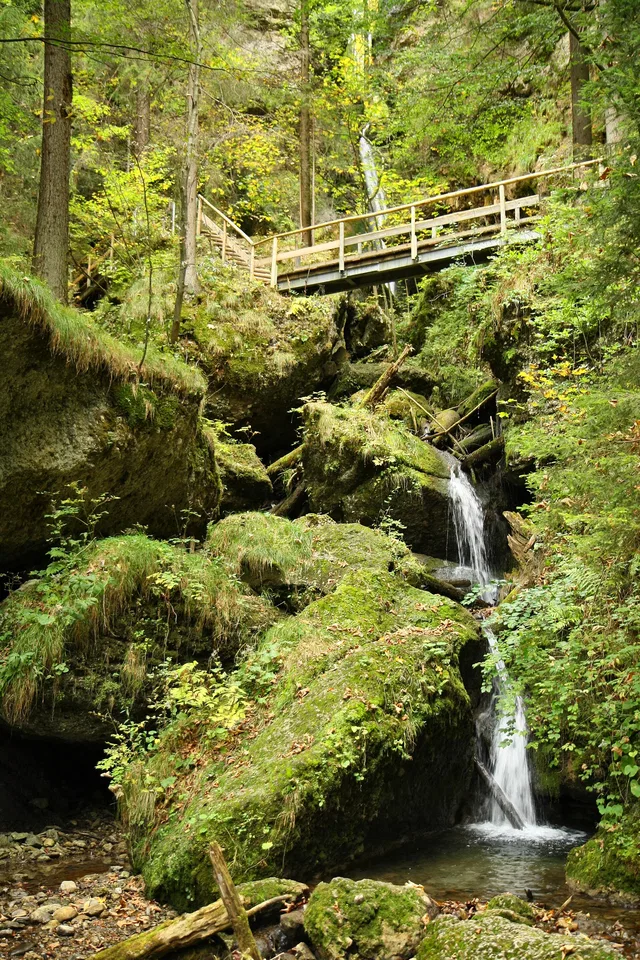 Holzbrücke über einem kleinen Wasserfall im grünen Wald.