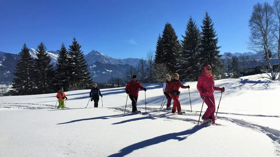 Fünf Schneeschuhwanderer auf einer sonnigen Schneefläche vor Tannen und Bergen