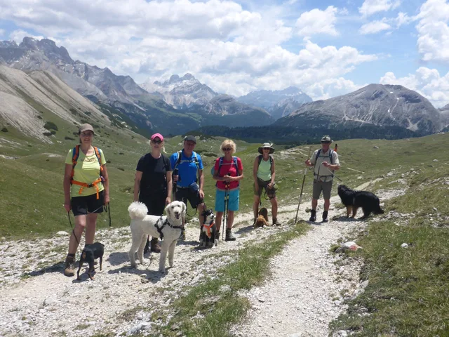 Wandergruppe mit Hunden auf einem breiten Bergweg