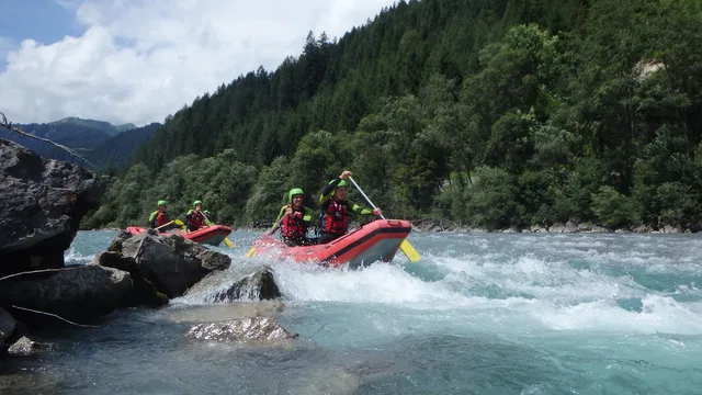 Roter Schlauchcanadier neben einem Felsen im Fluss