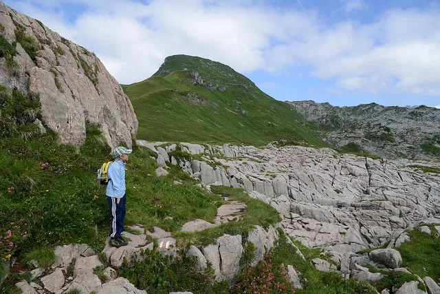 Formaletsch und Steinernes Meer im Lechquellengebirge.