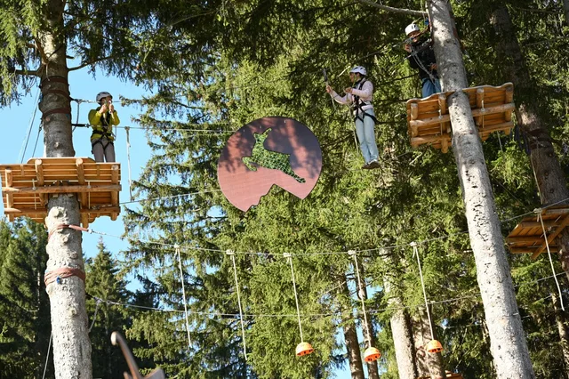 Personen im Hochseilgarten zwischen Nadelbäumen