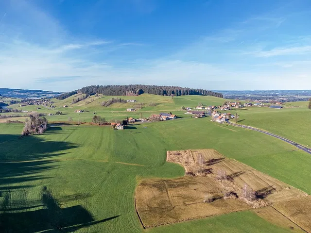Hügellandschaft am Balzerberg bei Stiefenhofen.