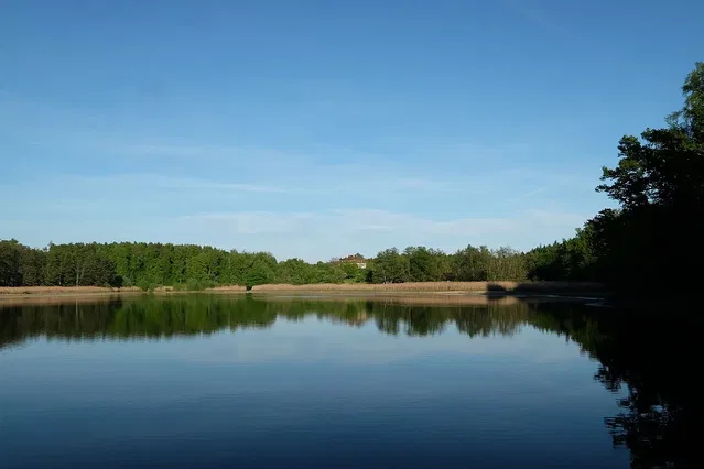 Killenweiher bei Salem, Blick von Westen in Richtung Killenberg.