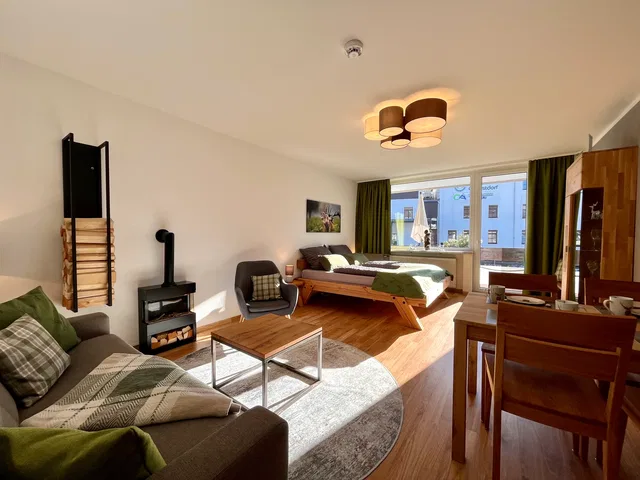 Modernes Wohn- und Schlafzimmer mit Kamin, Sofa, Sessel, Esstisch und großer Fensterfront.