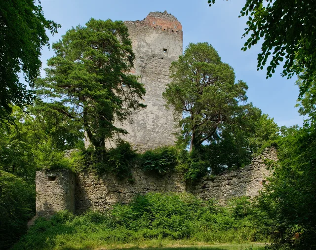 Mauerreste der Burgruine Altbodman zwischen Bäumen