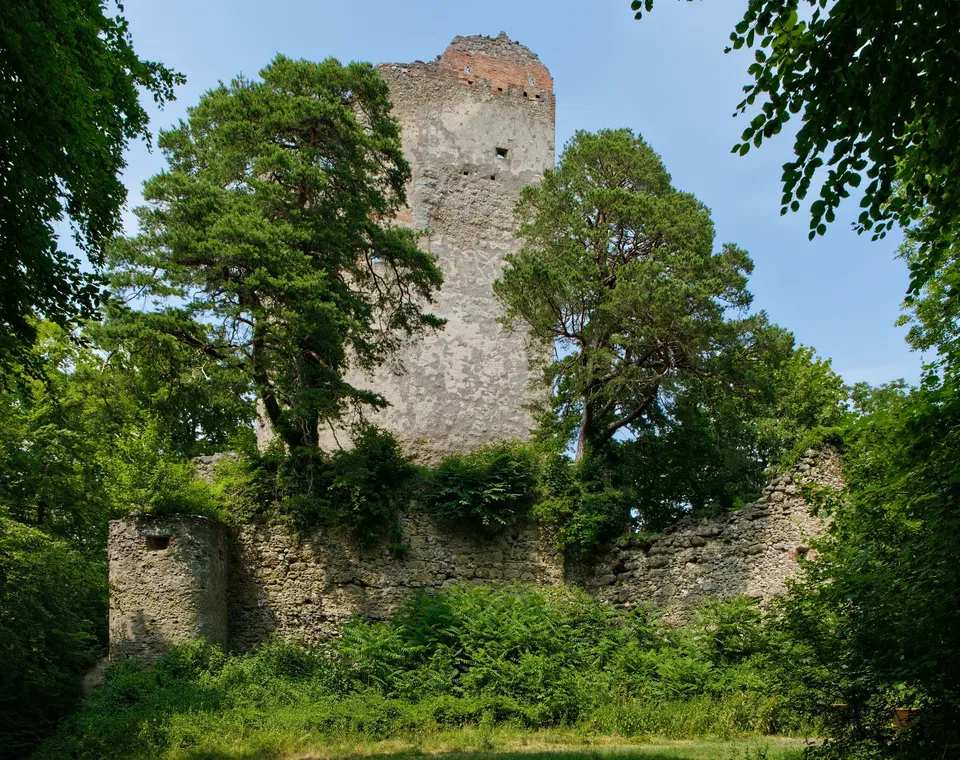Ruine Altbodman – Burgruine mit Bodenseeblick