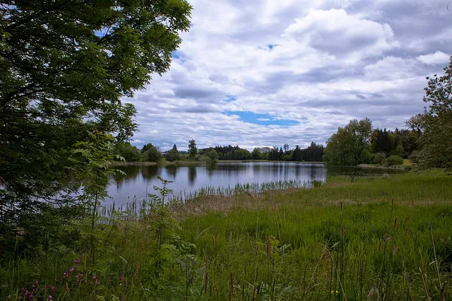 Neuravensburger Weiher, ein Landschaftsmotiv an der Radrunde südwestlich von Wangen.