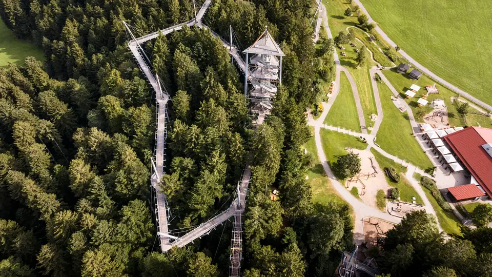 Luftaufnahme eines Baumwipfelpfads und Aussichtsturms im Wald neben einer Parkanlage