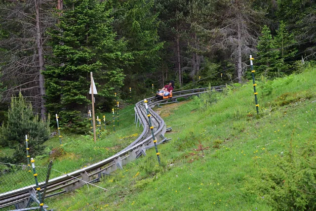 Kursende Schlittbahn mit zwei Personen im Wagen in einer Wald- und Wiesenlandschaft.