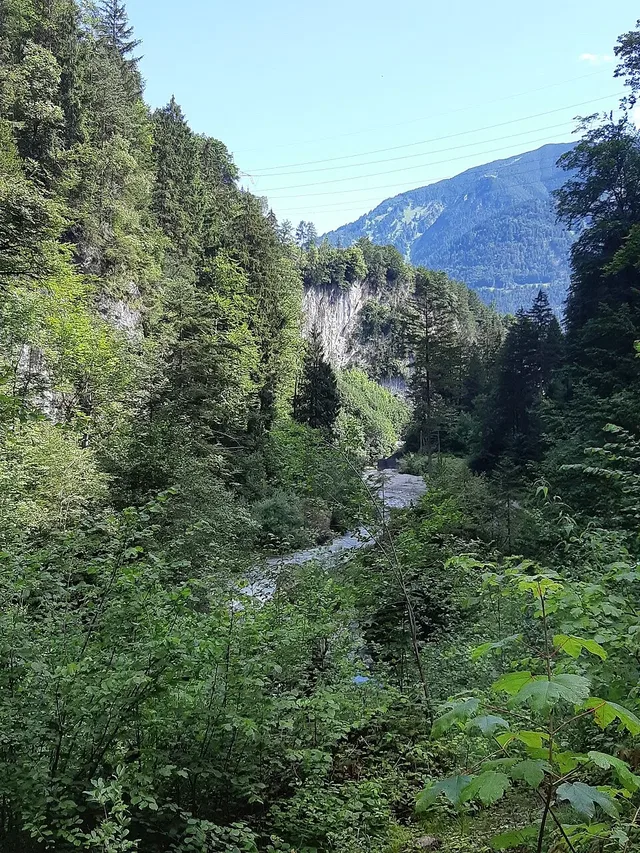 Blick in die Bürser Schlucht.