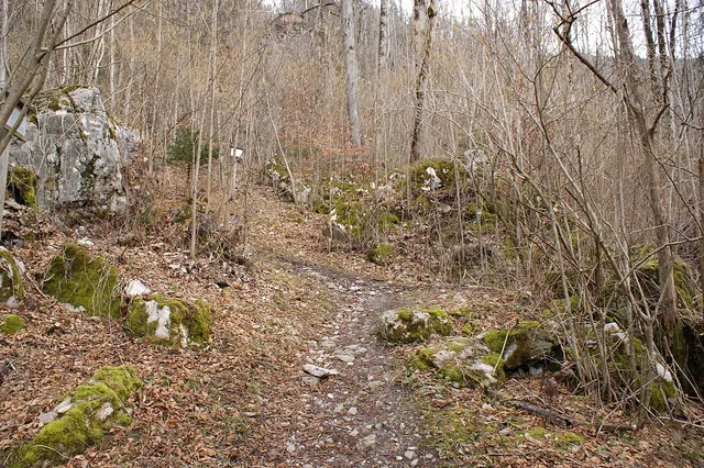 Pfad durch moosigen Fels- und Laubwald mit steinigem Wegabschnitt
