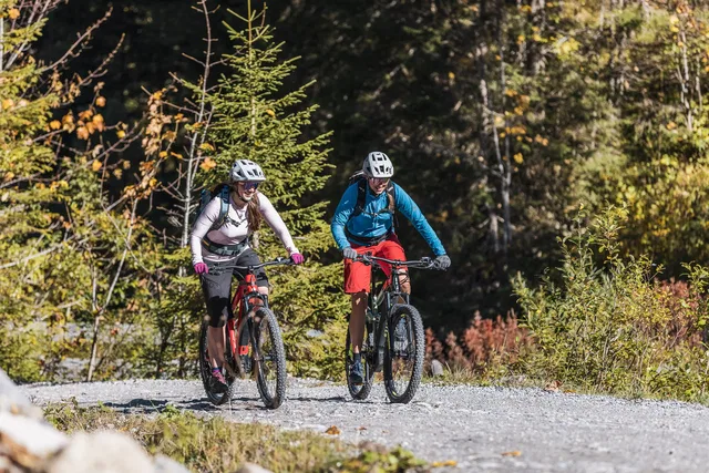 Zwei Mountainbiker auf einem Waldweg