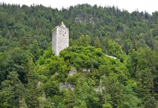 Steinerner Turm auf Waldkuppe, umgeben von Bäumen