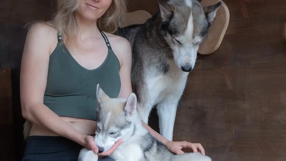 Frau sitzt zwischen zwei Huskies, streichelt einen der Hunde.