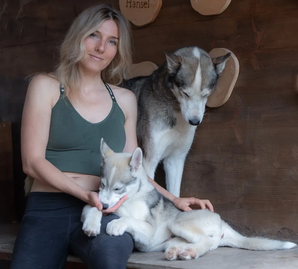 Husky Erlebnisse im Allgäu
