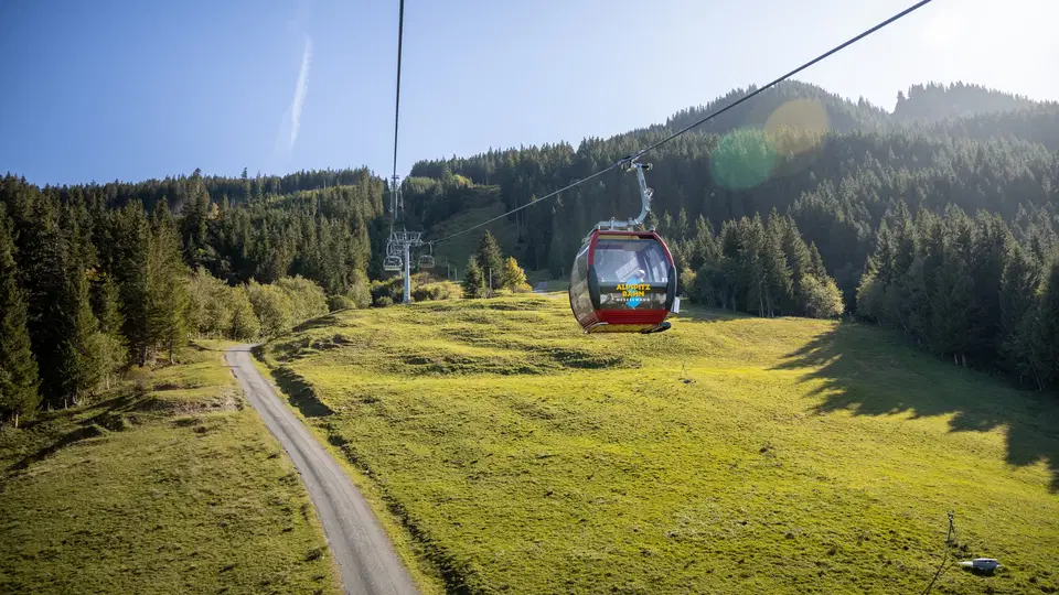 Seilbahn-Gondel über einer grünen Bergwiese mit Wald im Hintergrund.