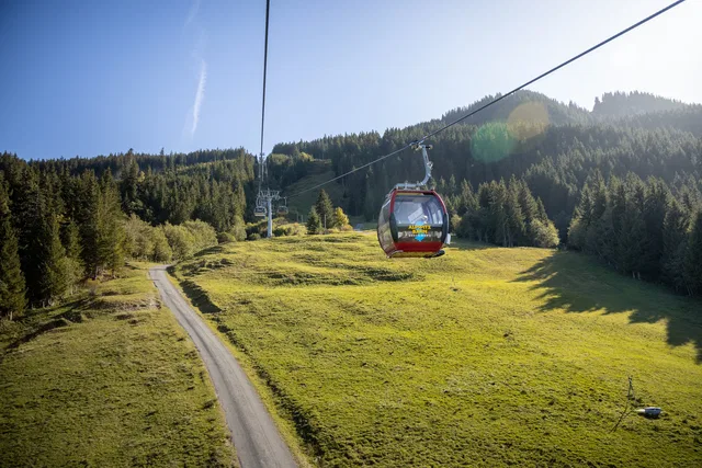 Seilbahn-Gondel über einer grünen Bergwiese mit Wald im Hintergrund.