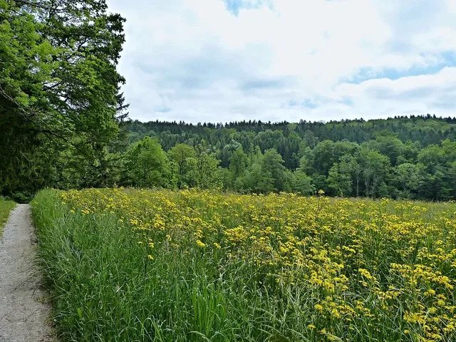 Tal der Wolfegger Ach bei Alttann; Landschaftsmotiv zur Höll-Runde.