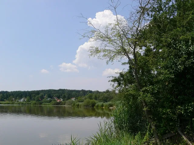 Zellersee in Kißlegg, ein Schwerpunkt des Trilogie-Rundgangs.