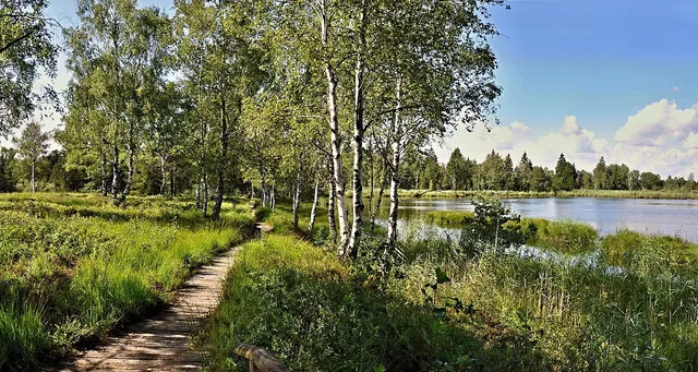 Landschaftsmotiv: Riedsee im Wurzacher Ried.