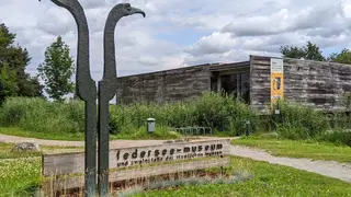 Mit Hund bei Regen in Bad Buchau: Museum vor Moorsteg