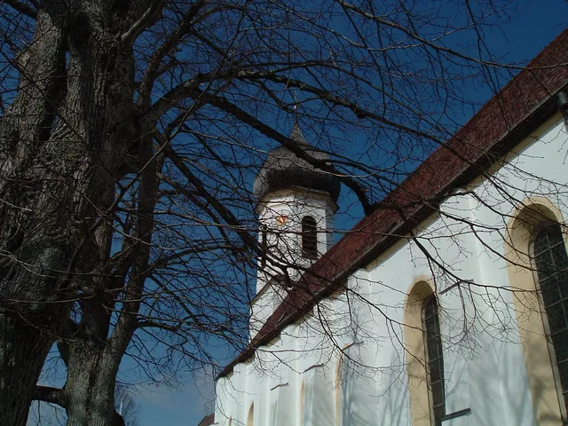 Weiße Kirche mit rotem Dach und kleinem dunklem Turm, von Baumästen umrahmt.