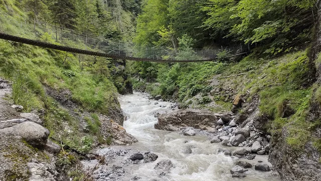 Schmale Hängebrücke spannt über einen wilden Gebirgsbach in einem dichten Wald.