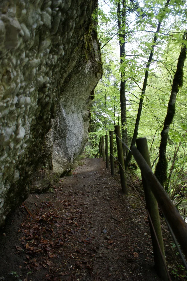 Waldweg entlang Felswand mit Geländer im Wald