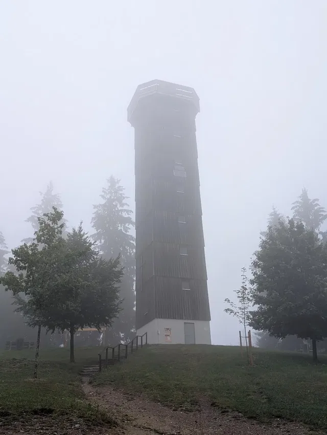 Holz-Aussichtsturm im Nebel mit Bäumen im Umfeld