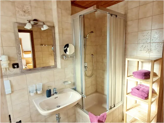 Badezimmer im Doppelzimmer mit Dusche, Waschbecken und Spiegel sowie Regal mit violetten Handtüchern