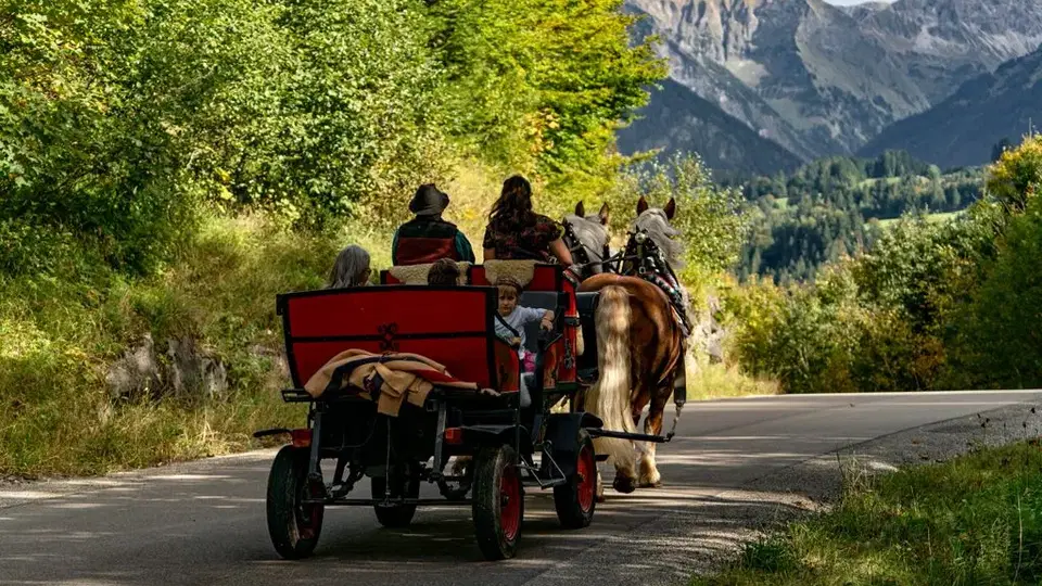 Besetzter roter Pferdewagen auf einer Straße vor herbstlicher Bergkulisse