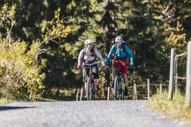 Zwei Mountainbiker auf einem Schotterweg im Wald