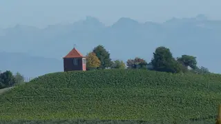 Obst und Wein am Bodensee: Nonnenhorn, Kressbronn und Immenstaad
