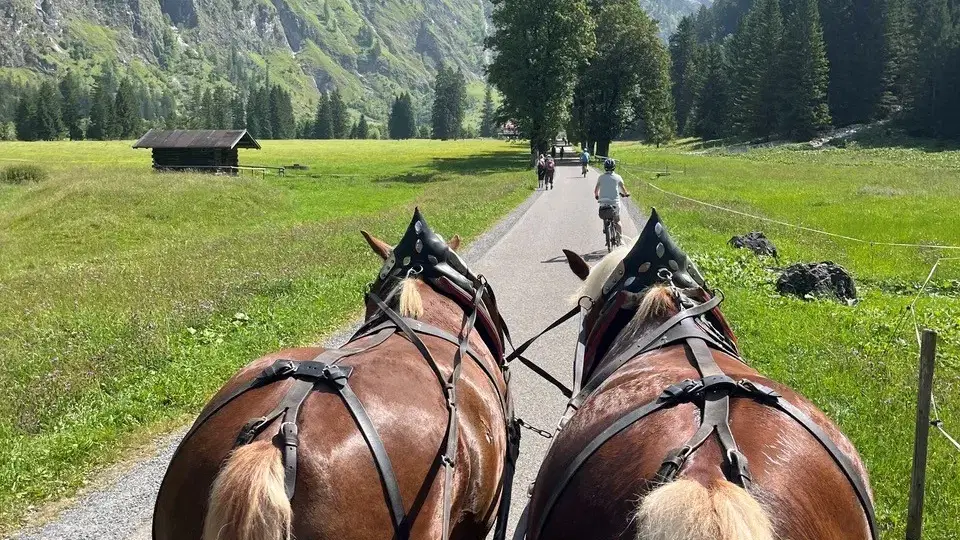 Zwei Pferde vor der Kutsche auf einem Weg zwischen Wiesen und Bergen