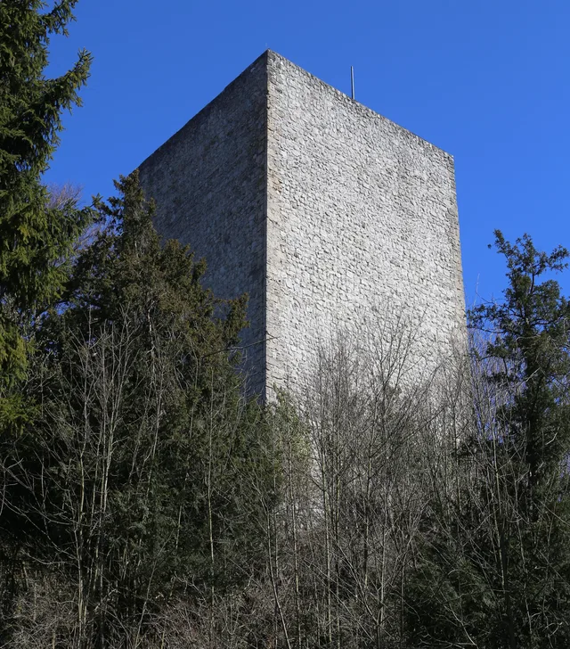 Steiniger Turm aus grobem Steinverband über Baumdickicht vor blauem Himmel.