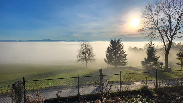 Winterlicher Blick vom Höchsten über die Bodenseeregion
