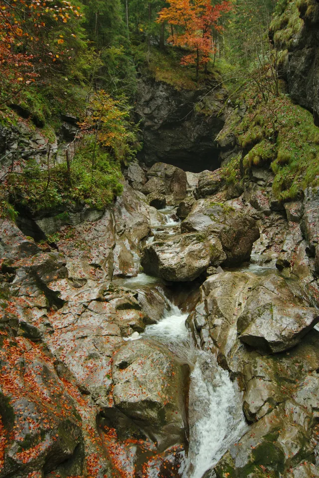 Bach durch eine felsige Schlucht mit Herbstlaub.
