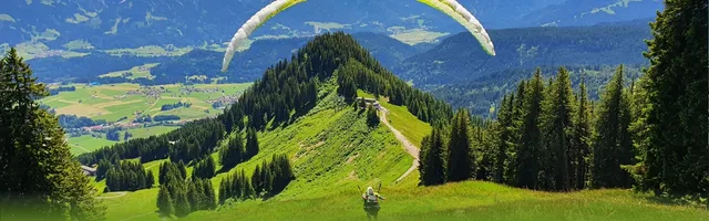 Paragleiter startet von einer grünen Bergwiese mit Wald und Bergpanorama.