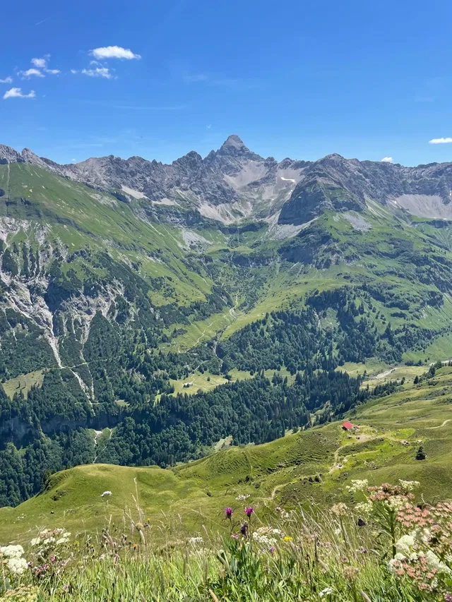 Alpenpanorama mit blühender Bergwiese und markantem Felsgipfel