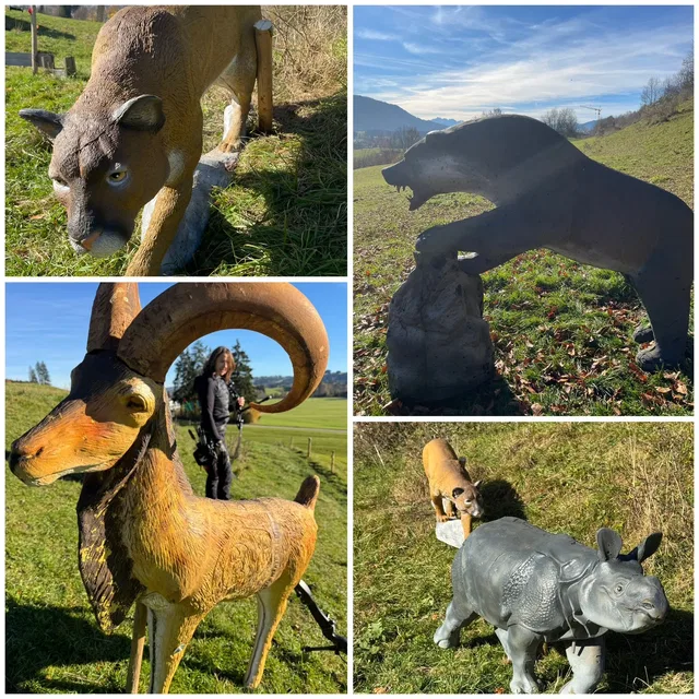 Collage verschiedener 3D-Tierziele im Bogenparcours