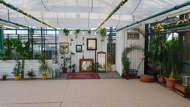 Grünes Gewächshaus mit Pflanzen, Spiegelrahmen und Sitzgelegenheiten; helles Interieur.