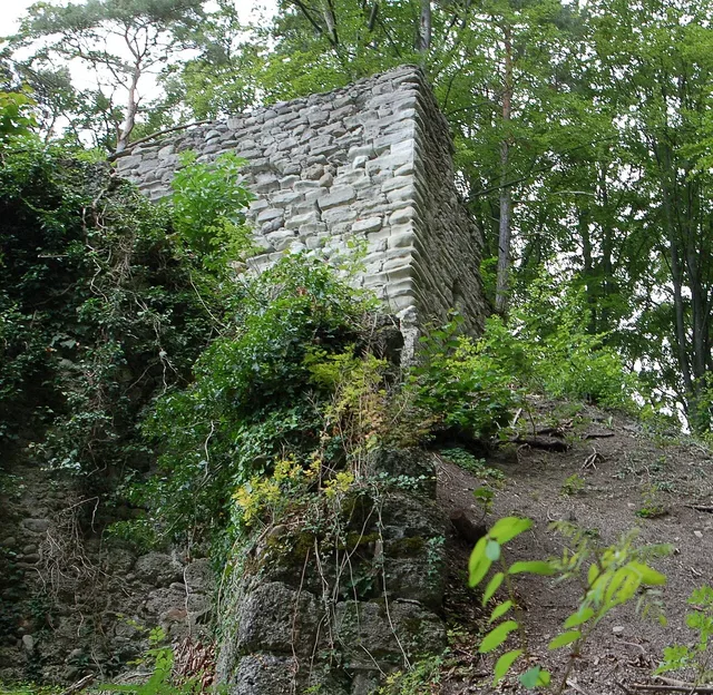 Alte Steinmauer einer Ruine im Wald, umgeben von Bäumen und Gebüsch.