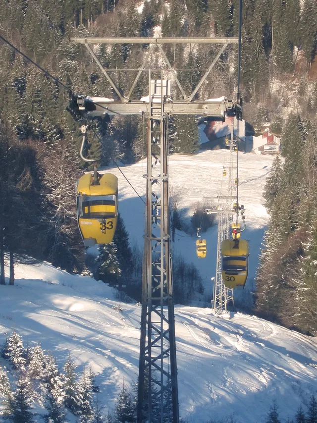 Gelbe Seilbahn-Gondeln der Skianlage über verschneiter Hängewald