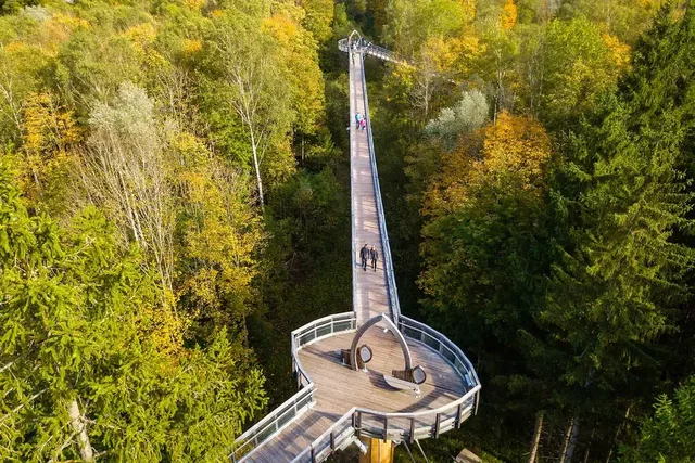 Luftaufnahme des Baumkronenwegs mit Plattform und Holzsteg im Herbstwald